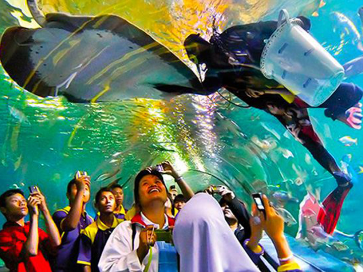 Vé tham quan Singapore khá phám Sea Aquarium